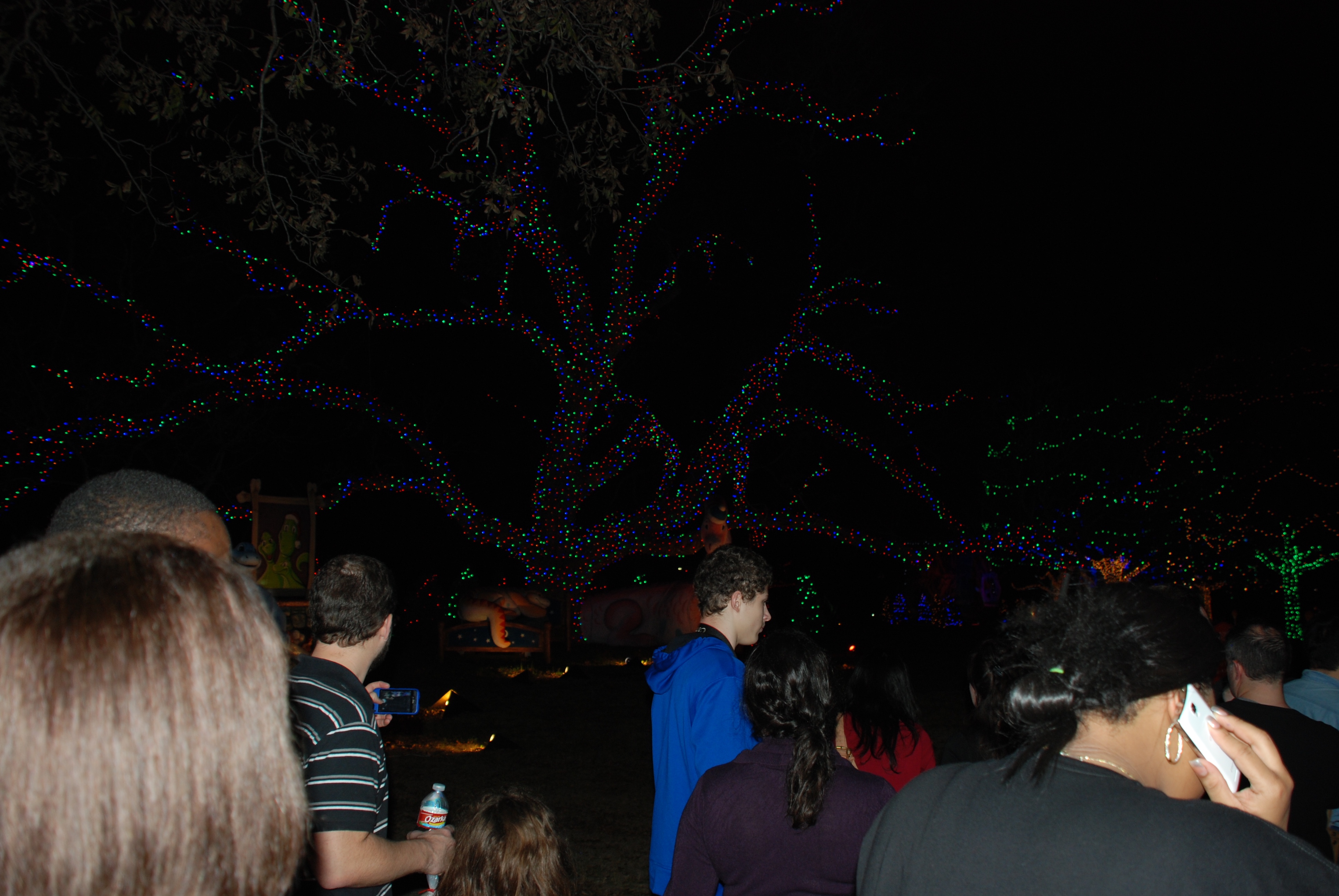 2013-12-20 20-33-58 Trail of Lights.jpg